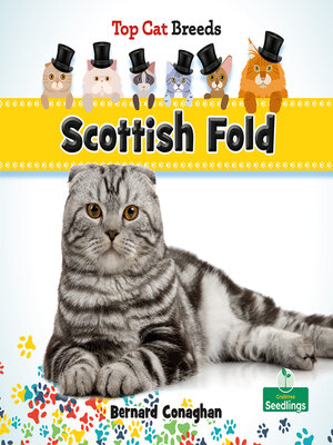 cover image of Scottish Fold